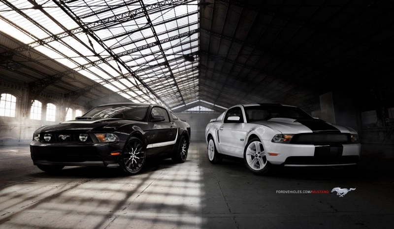 556-bc7b246c09108360df49596ded98c5c1