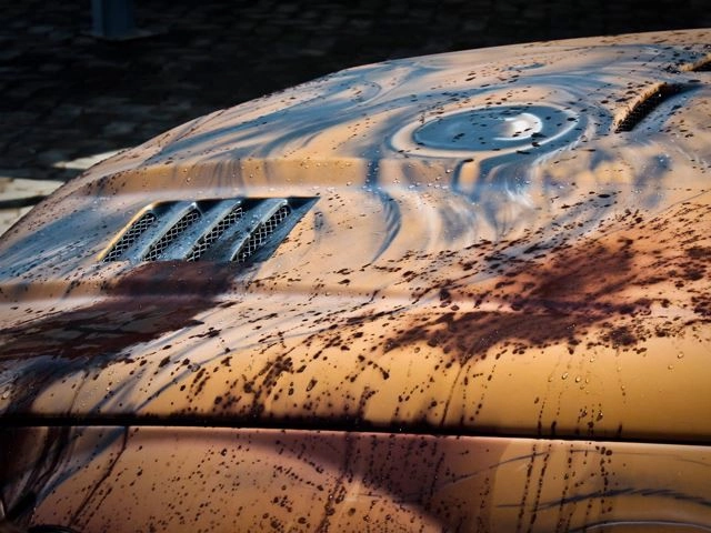 367-e793dcf4897714a14900fda9d2db9a17