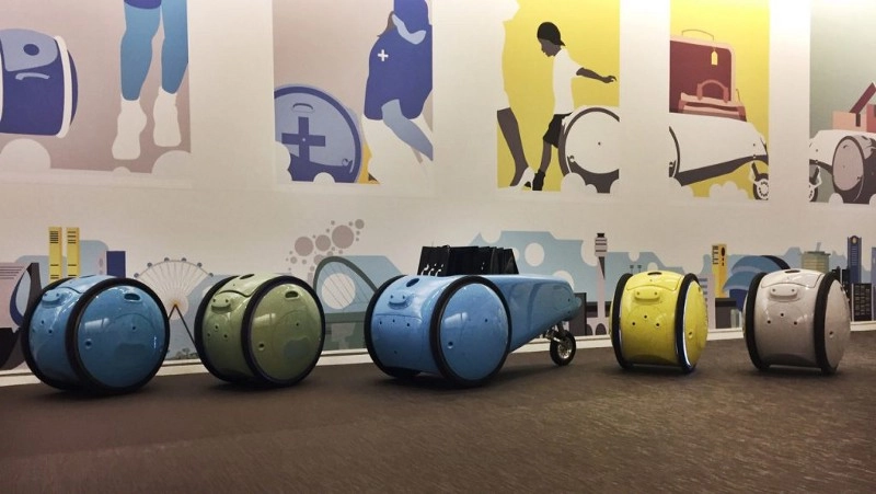 Piaggio Gita And Kilo