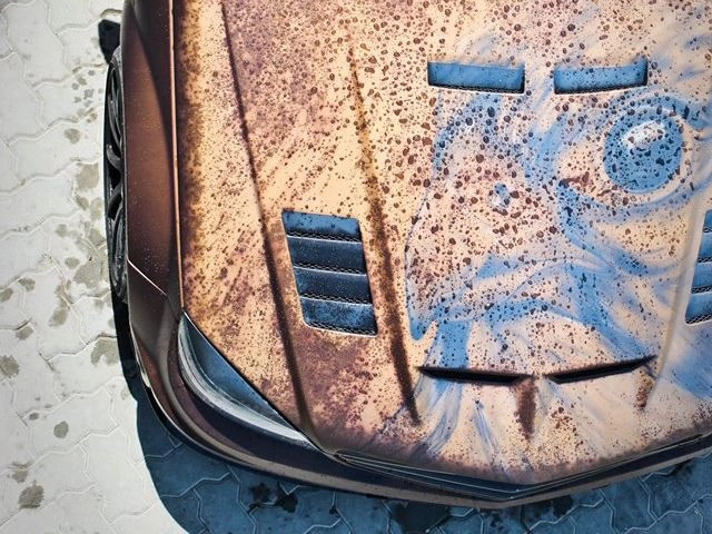 481-ae71b960400814ed4e78a136244e9281