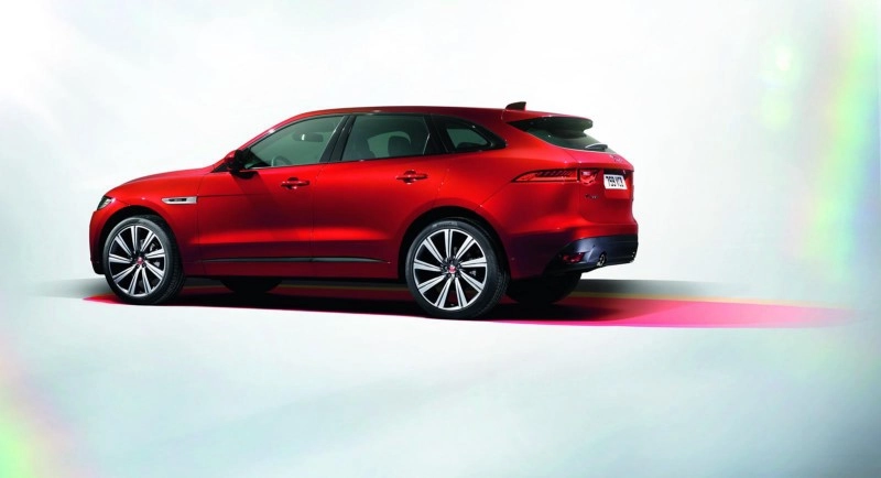 815-87f320c34e28bb641cfbeba5c894d50b