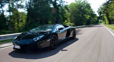 Impudent aggressiveness! - Photo