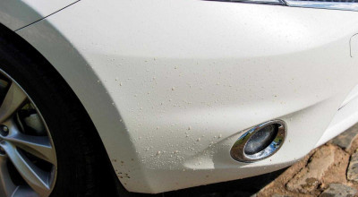 Nissan ingenious fighting with dirt - Photo