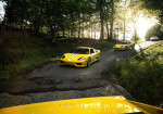 Ferrari syndrome! This man has a collection that includes more than 40 models, all yellow! - Photo