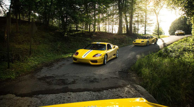 Ferrari syndrome! This man has a collection that includes more than 40 models, all yellow! - Photo