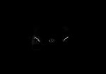 Mercedes - A silhouette in black - Photo