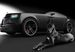 Rolls-Royce Shooting Brake - Luxury Car Dedicated To The Dog Lovers. - Photo