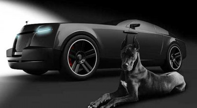 Rolls-Royce Shooting Brake - Luxury Car Dedicated To The Dog Lovers. - Photo