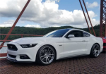 An Awesome Magnetic Mustang GT With HRE Wheels - Photo