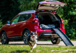 Nissan Pets Transportation Car Has Been Created! - Photo