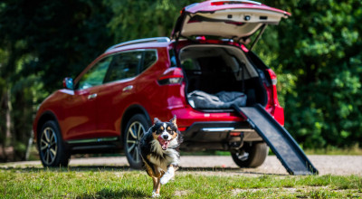 Nissan Pets Transportation Car Has Been Created! - Photo