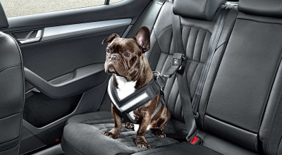 Skoda presents a new four-legged seat belt! - Photo