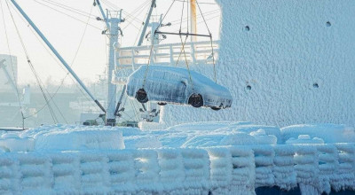 Curious About The Fate Of These Automobiles? - Photo