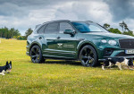 Bentley Granting VIP Access To Owners Of Bentley-Named Dogs At Goodwoof - Photo