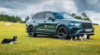 Bentley Granting VIP Access To Owners Of Bentley-Named Dogs At Goodwoof - Photo