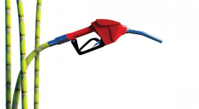 Fueling the Future: A Down-to-Earth Guide to Alternative Fuel Options for a Greener Tomorrow - Photo