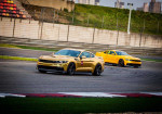 Muscle Cars vs Sports Cars: What's the Difference? A Journey Through the World of Power & Speed - Photo