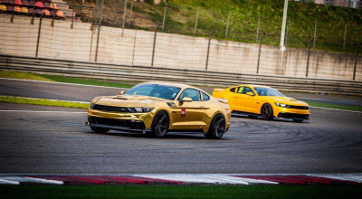 Muscle Cars vs Sports Cars: What's the Difference? A Journey Through the World of Power & Speed - Photo