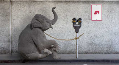 Roads Less Traveled: Top 7 Unusual Traffic Laws Around the World and the Cars That Challenge Them - Photo