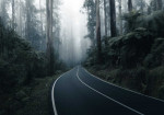 Journeys Beyond the Unknown: The World's Most Haunted Roads Unveiled - Photo