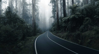 Journeys Beyond the Unknown: The World's Most Haunted Roads Unveiled - Photo