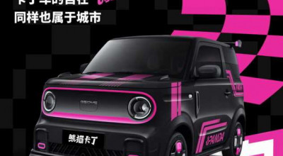 Think Go-Karts For Your New Geely Panda Mini EV! - Photo
