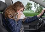 Understanding the Risks of Sneezing While Driving and How to Manage Them - Photo
