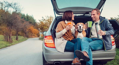 Traveling with Pets: Essential Tips for a Safe Car Journey - Photo