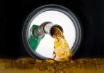 The Truth About Fuel Additives: Do They Really Enhance Your Car's Performance? - Photo