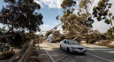Driving in High Winds: How to Stay Safe & Avoid Disaster - Photo