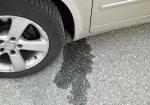 Stop the Drip: The Environmental and Safety Dangers of Car Fluid Leaks (Oil, Coolant, Brake Fluid) - Photo