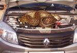 Mechanics Are Finding Some Seriously Weird Stuff in Cars - Photo