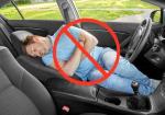 Can You Actually Sleep at a New York Thruway Rest Stop Without Getting Towed? - Photo