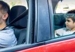 Your Rear Window May Not Be Broken. Open the Door and Look at the Wheel Arch - Photo