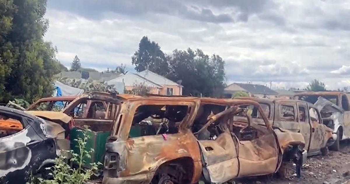 Oakland's Abandoned Car Epidemic: Streets Flooded with 14,000 Vehicles